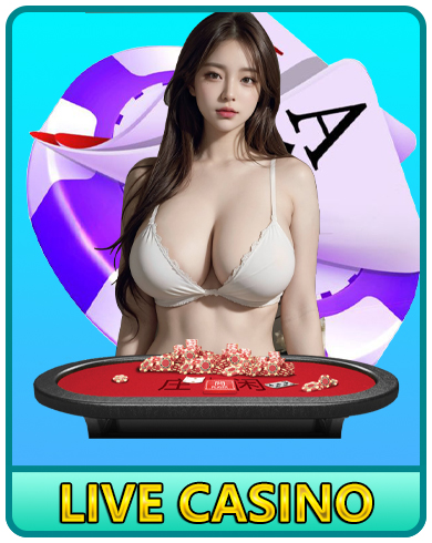 LIVE CASINO LIVE CASINO